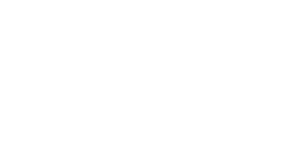 VMG Software Logo